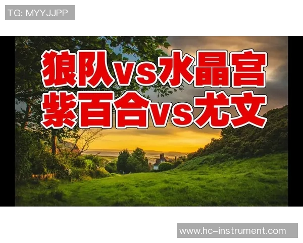 水晶宫对阵狼队比赛分析及比分预测建议