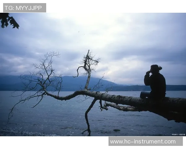 独行侠探索孤独的力量与自由的极限：一场心灵的冒险之旅